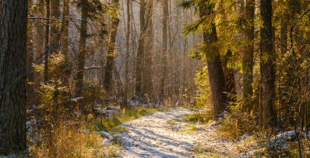 Ekonomika aug, dusošais patēriņš ir modies