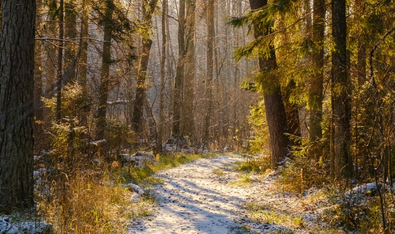 Ekonomika aug, dusošais patēriņš ir modies