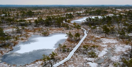 Pērn ekonomika mazliet sarukusi