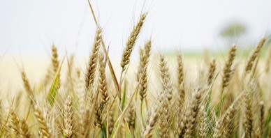 Akola Grupa - Izcils sniegums grūtos apstākļos