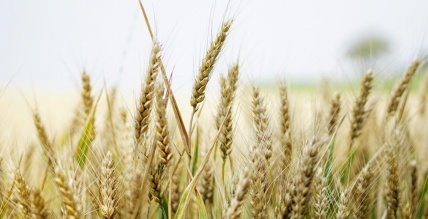 Akola Grupa - Izcils sniegums grūtos apstākļos