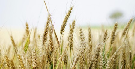 Akola Grupa - Izcils sniegums grūtos apstākļos