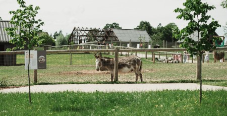 Ar Swedbank atbalstu “Sigulda ZOO” veic ieguldījumus zoodārza infrastruktūras attīstībā