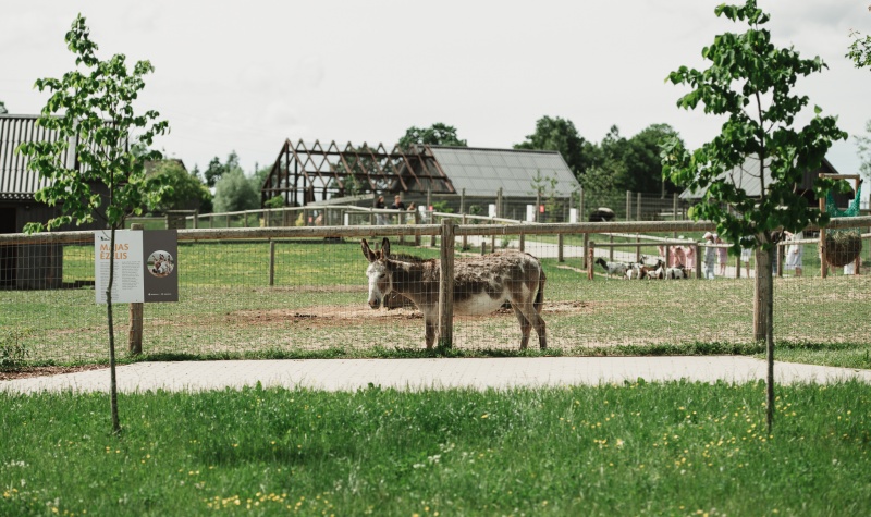 Ar Swedbank atbalstu “Sigulda ZOO” veic ieguldījumus zoodārza infrastruktūras attīstībā