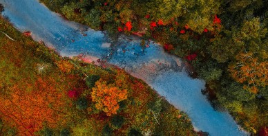 Iekšējais pieprasījums balsta ekonomiku