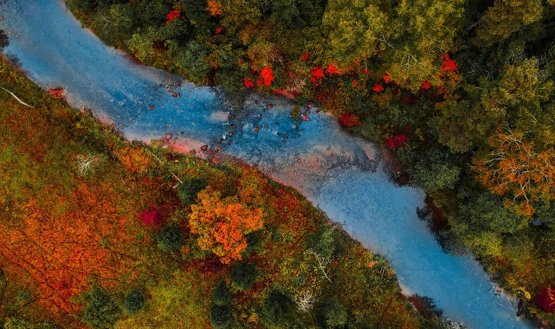 Iekšējais pieprasījums balsta ekonomiku