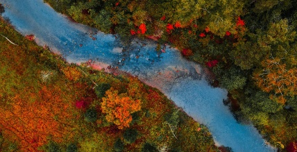 Iekšējais pieprasījums balsta ekonomiku