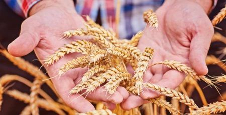 Vidzemes un Latgales lielākais graudu kooperatīvs “VAKS” attīstībā iegulda 6,4 miljonus eiro