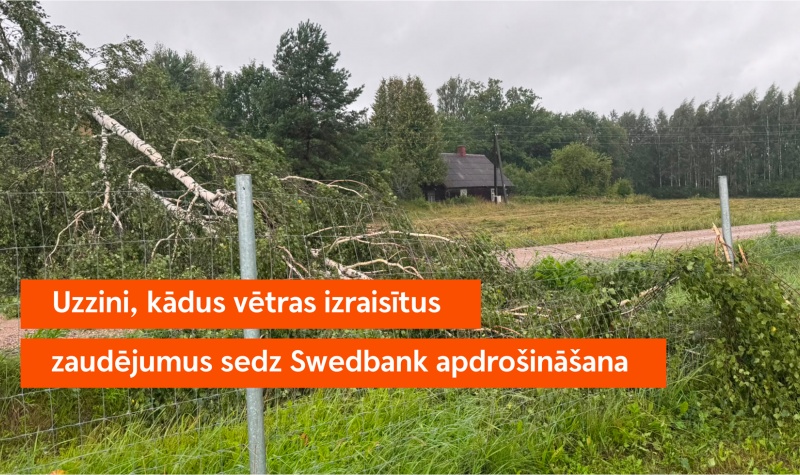 Strauji aug pieteikumu skaits par vētras postījumiem