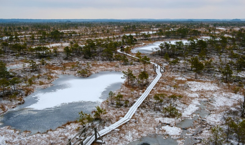 Ziemassvētku dāvana – cenu līmeņa kritums decembrī