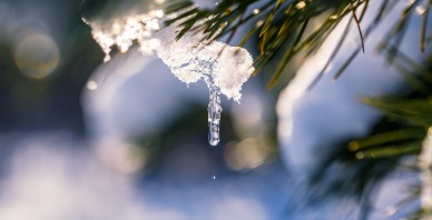 Inflācija un naudas pirktspēja – kā neļaut naudai izkust?