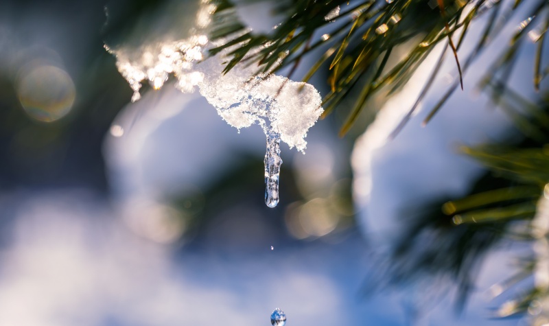 Inflācija un naudas pirktspēja – kā neļaut naudai izkust?