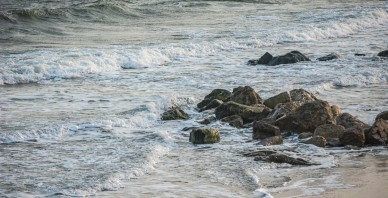 Tallinna Sadam - Piejūras paradīze