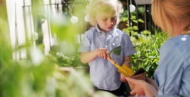 Ko par naudu stāstīt bērndārzniekam?