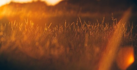 Kādus pabalstus var saņemt sēru brīžos?