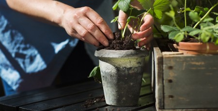 Mainījušās Valsts sociālās apdrošināšanas obligāto iemaksu likmes
